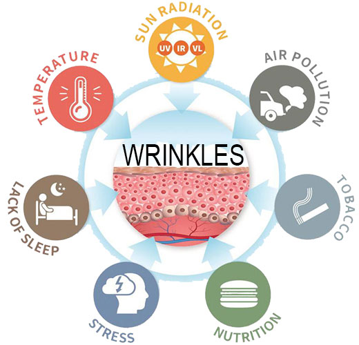 Externe Faktoren Falten